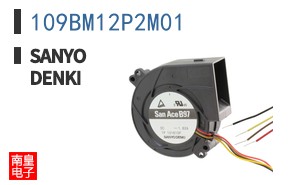 109BM12P2M01 ͼƬ